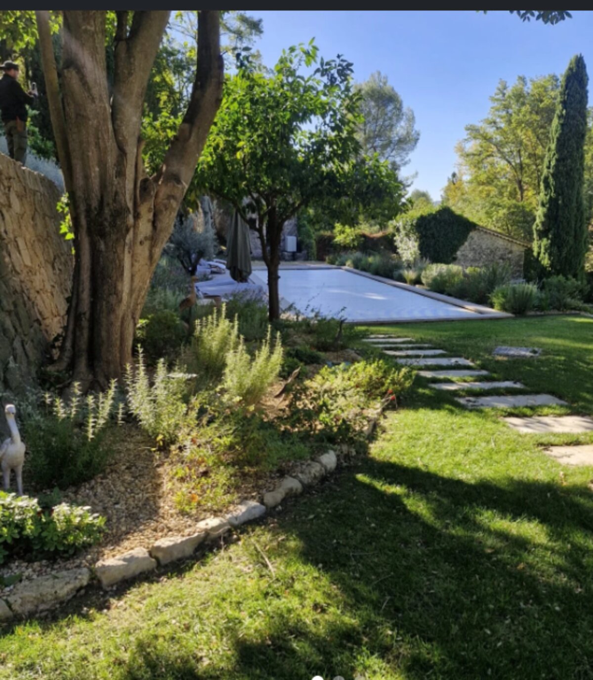 Jardin moderne avec escalier et terrasse végétalisée